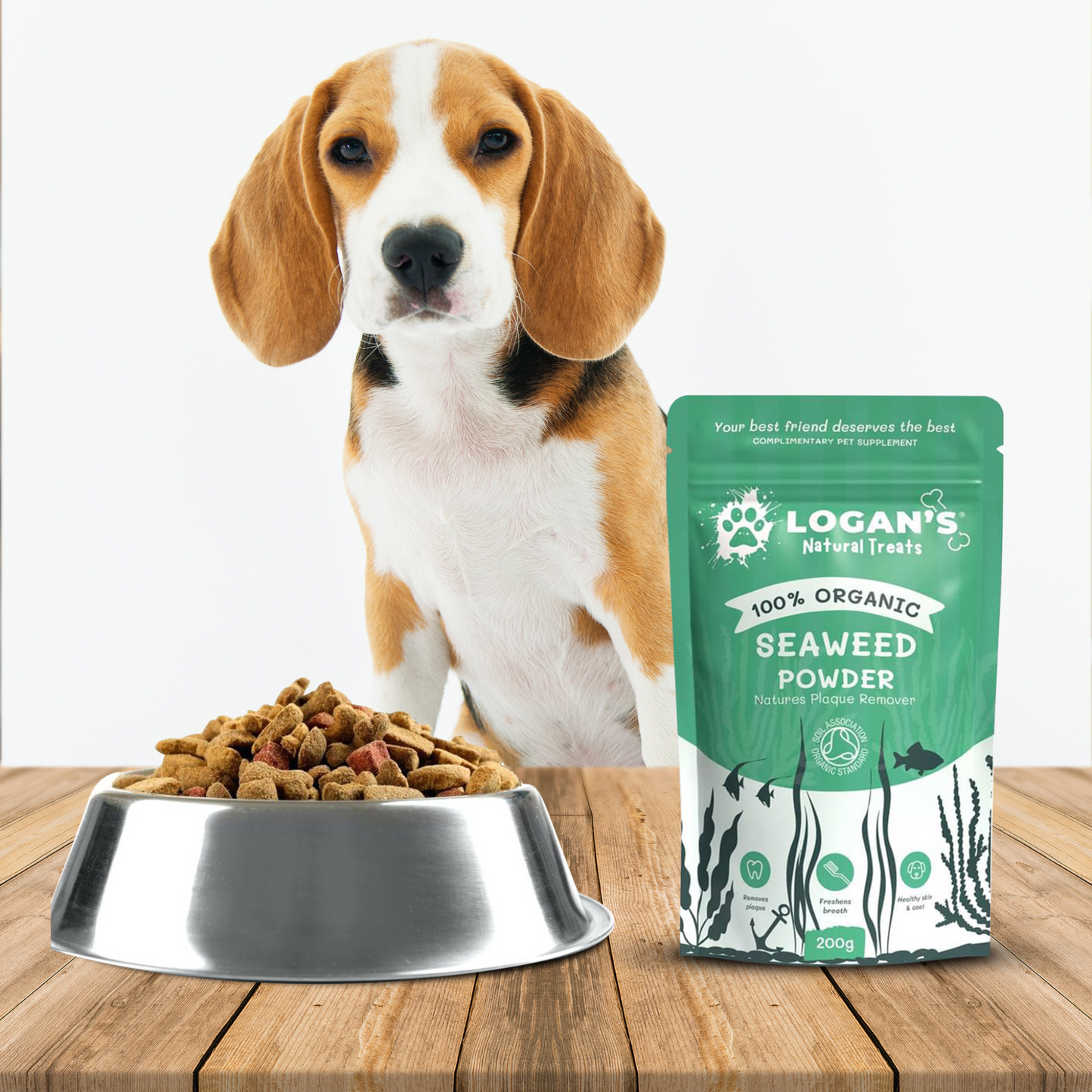 Benefits of seaweed in pet diets – natural source of iodine and antioxidants for B2B supplement retailers