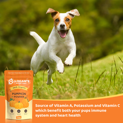 Organic Pumpkin Powder | Pet Pumpkin Powder | Logan’s Natural Treats