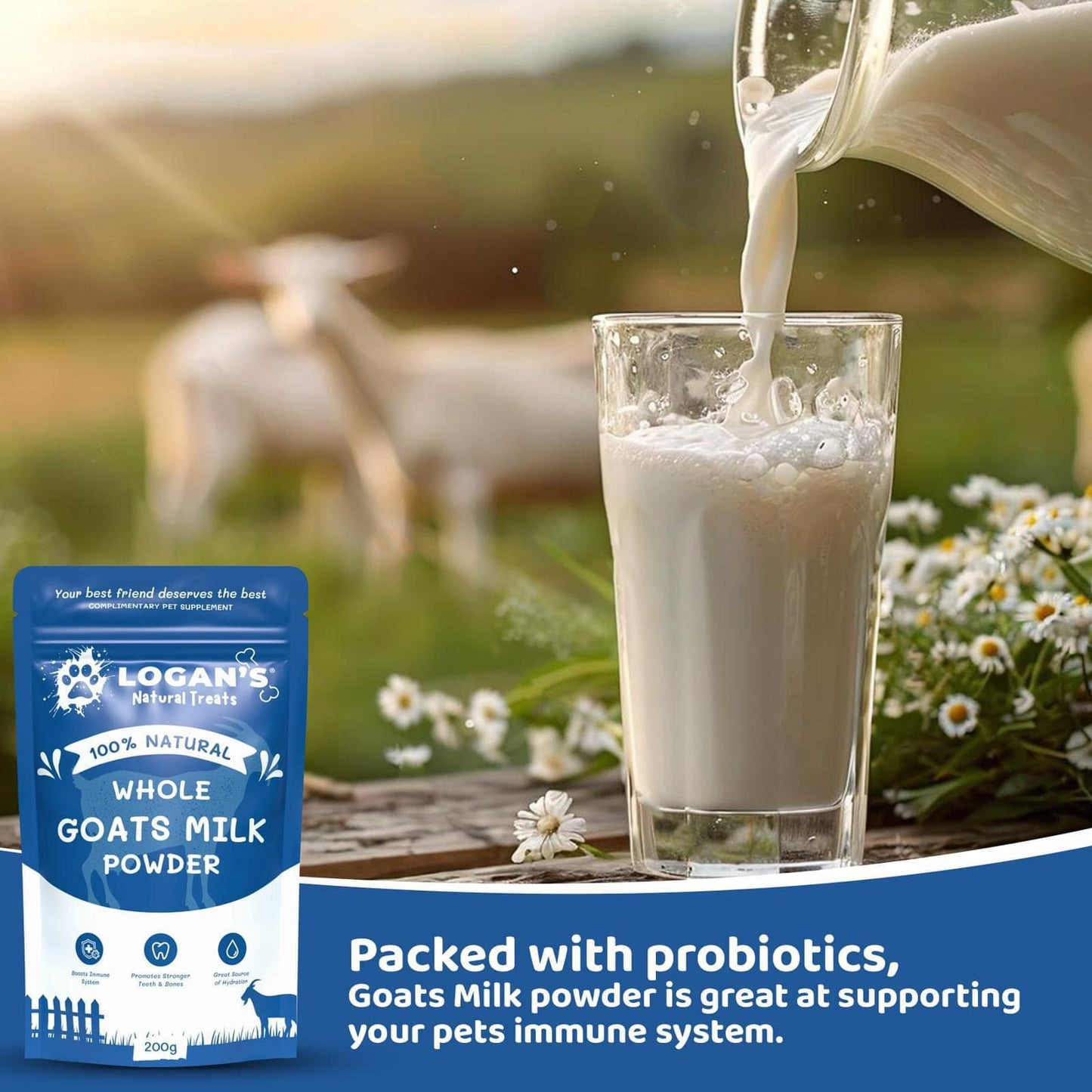 Whole Goats Milk Powder
