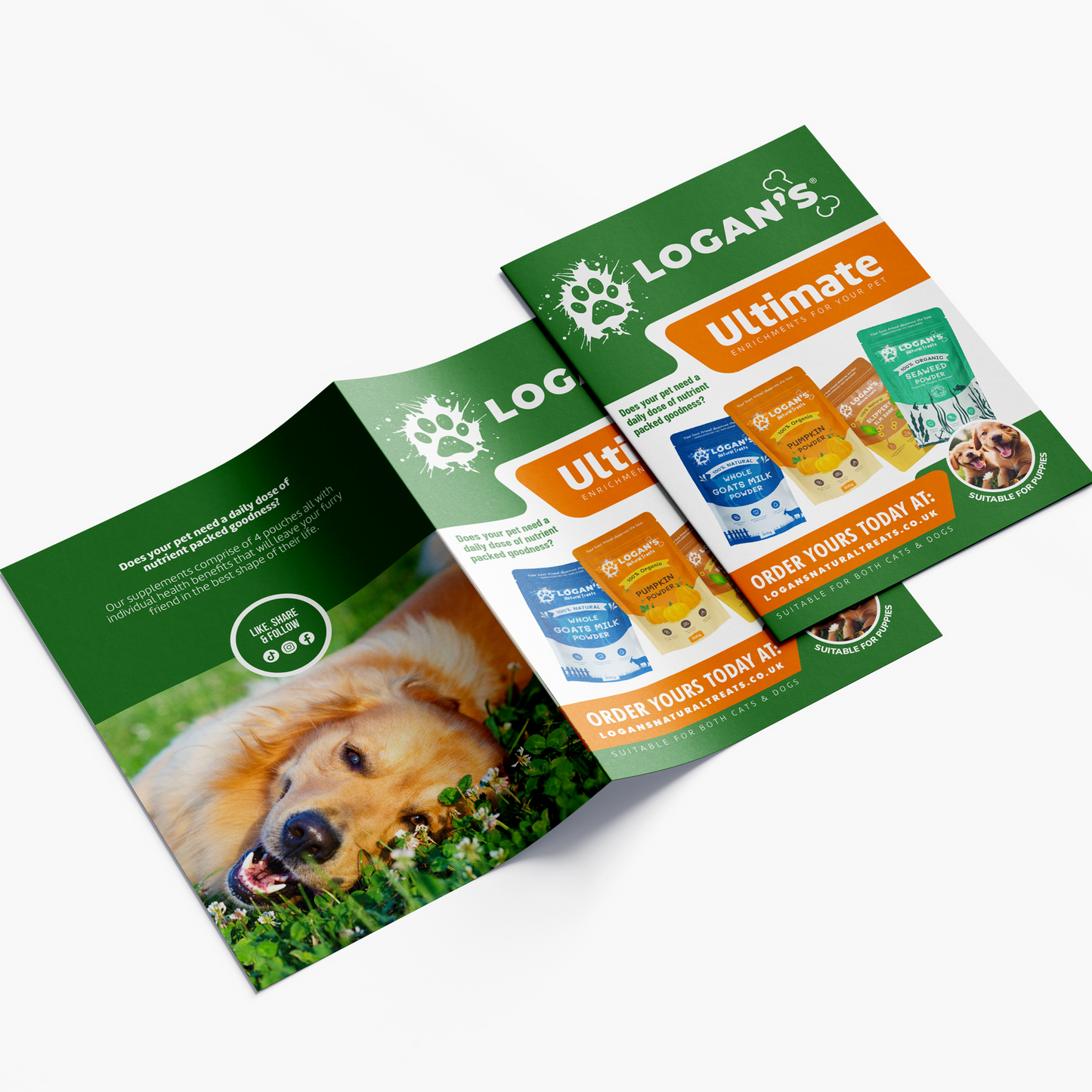 Leaflets - A6 Bifold