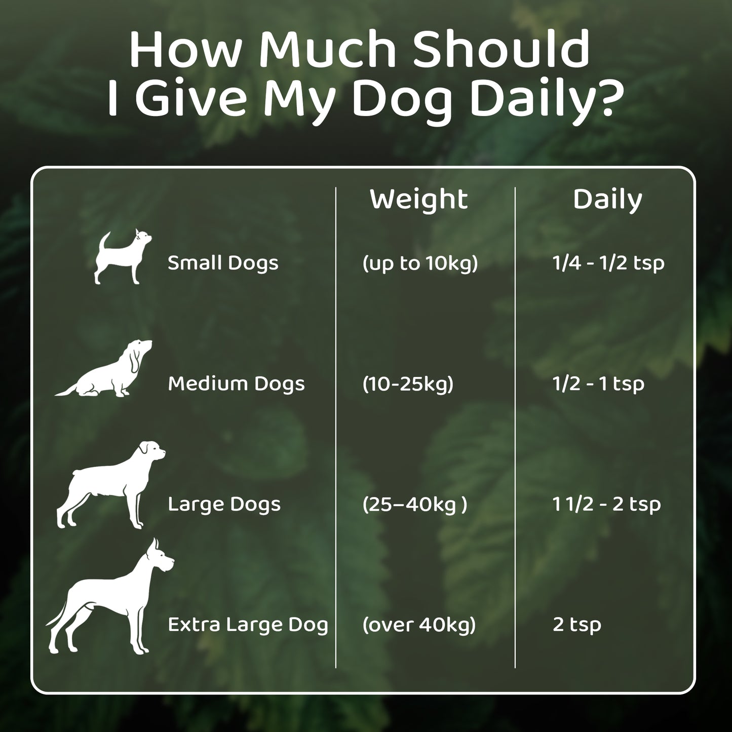 Nettle Powder – Natural Antihistamine for Dogs & Cats