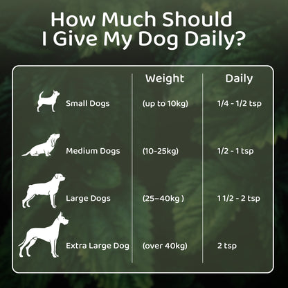 Nettle Powder – Natural Antihistamine for Dogs & Cats