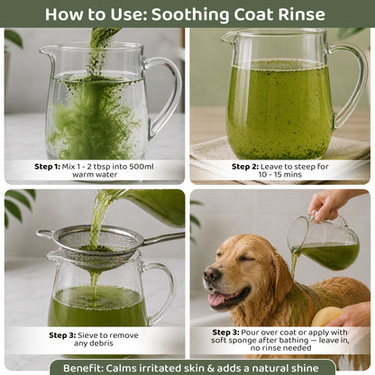 Nettle Powder – Natural Antihistamine for Dogs & Cats