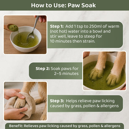 Nettle Powder – Natural Antihistamine for Dogs & Cats