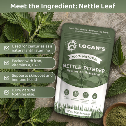 Nettle Powder – Natural Antihistamine for Dogs & Cats