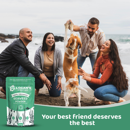 Dog with Logan’s Seaweed Powder pouch – pet wellness supplement for trade shops and professional groomers