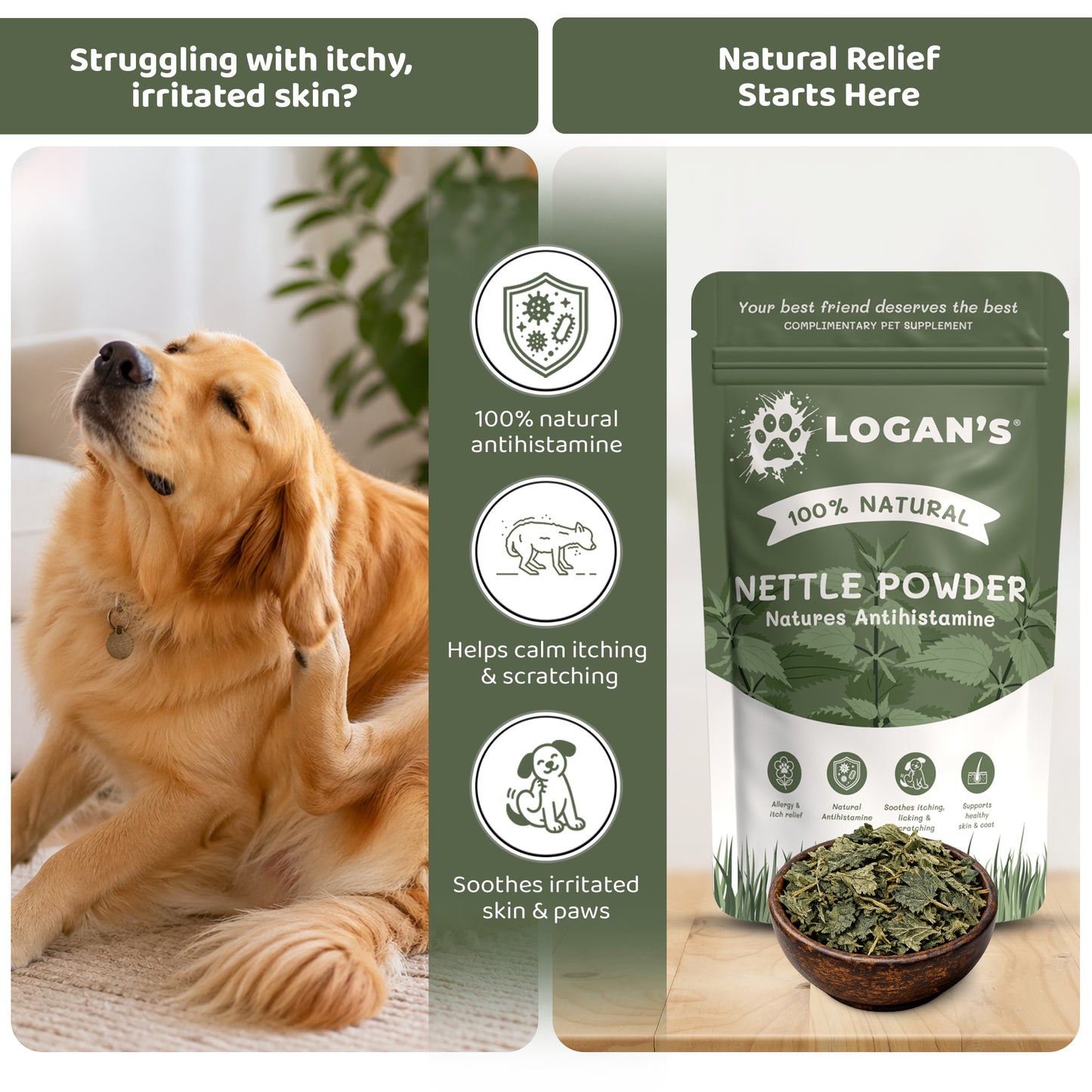 Nettle Powder – Natural Antihistamine for Dogs & Cats