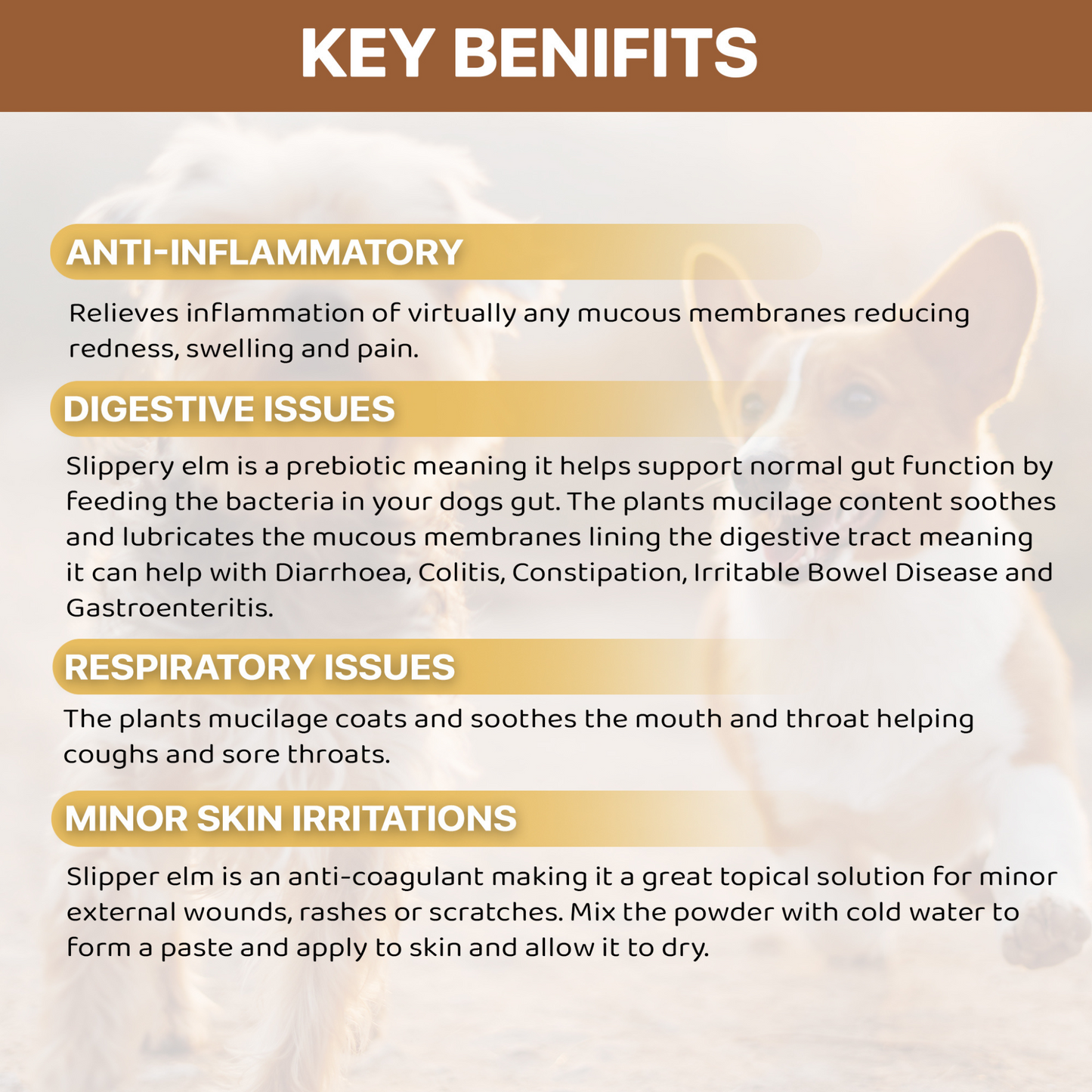 Slippery Elm Bark benefits chart – supports gut lining and digestion, designed for trade pet wellness market